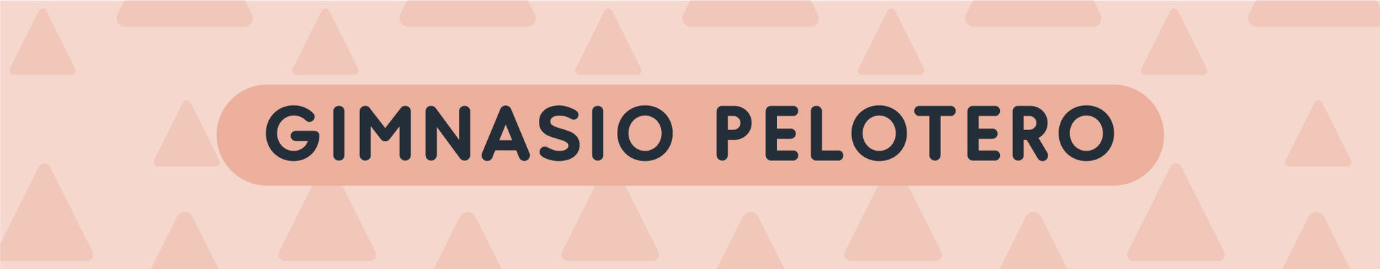 Gimnasio Pelotero